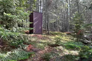 2485 Keyes Is, International Falls, MN 56649 - Photo 23