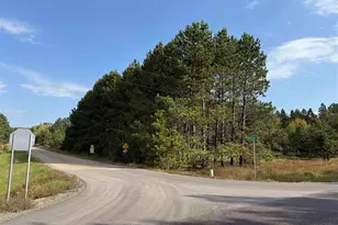 4548 Butternut Rd, Gilbert, MN 55746 - Photo 41