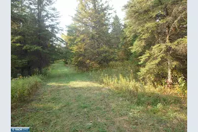 10705 Hwy 65, Gheen, MN 55771 - Photo 43