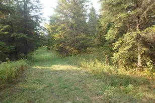 10705 Hwy 65, Gheen, MN 55771 - Photo 43