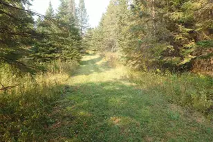10705 Hwy 65, Gheen, MN 55771 - Photo 45