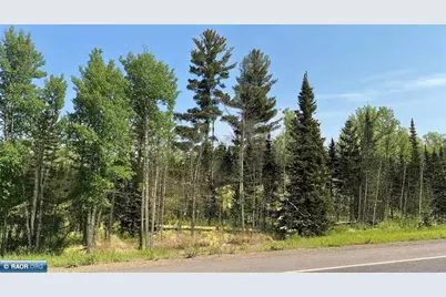 Tbd Hwy. 22, Cook, MN 55703 - Photo 5