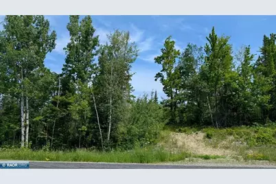 Tbd Hwy. 22, Cook, MN 55703 - Photo 3