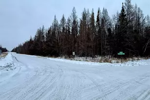 Tbd Samuelson Rd, Angora, MN 55703 - Photo 1