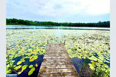 36524 Big McCarthy Lake Rd, Nashwauk, MN 55769 - Photo 35