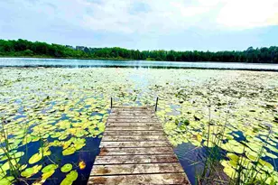 36524 Big McCarthy Lake Rd, Nashwauk, MN 55769 - Photo 35