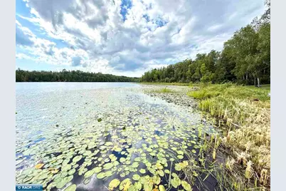 36524 Big McCarthy Lake Rd, Nashwauk, MN 55769 - Photo 37