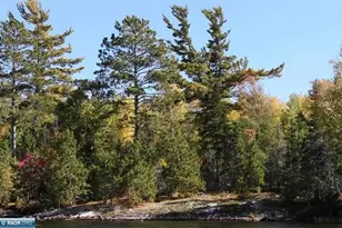 8481 Wakemup Narrows N, Cook, MN 55723 - Photo 13