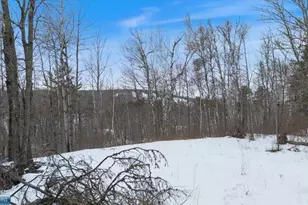 Tbd Voyageurs Trail, Biwabik, MN 55705 - Photo 1
