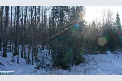 Tbd Parcel S Thomas Rd., Tower, MN 55790 - Photo 5