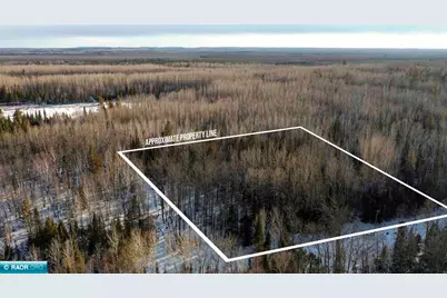 Tbd Parcel S Thomas Rd., Tower, MN 55790 - Photo 1