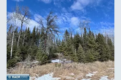 6679 Wahlsten Rd, Tower, MN 55790 - Photo 1