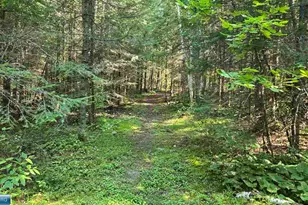 Tbd33 Donovan Point, Orr, MN 55771 - Photo 39