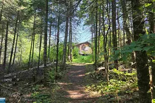 Tbd33 Donovan Point, Orr, MN 55771 - Photo 41