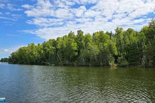 Tbd33 Donovan Point, Orr, MN 55771 - Photo 45