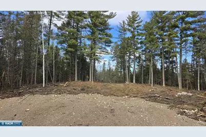 Xx13.7 Crane Lake Rd, Crane Lake, MN 55725 - Photo 1