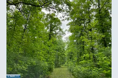 Tbd Cemetery Road, Orr, MN 55771 - Photo 1