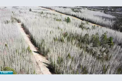 Tbd Parcel W Fraser Bay Rd., Cook, MN 55723 - Photo 11