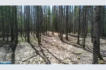 Tbd Parcel W Fraser Bay Rd., Cook, MN 55723 - Photo 5