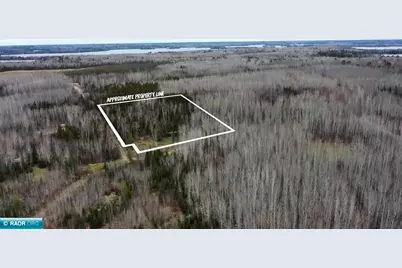 Tbd Parcel 19 Hwy 115, Tower, MN 55790 - Photo 1