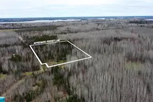 Tbd Parcel 19 Hwy 115, Tower, MN 55790 - Photo 1