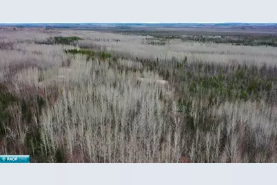 Tbd Parcel 19 Hwy 115, Tower, MN 55790 - Photo 11
