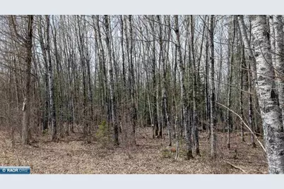 Lot 9 Lund Road, Cook, MN 55732 - Photo 3