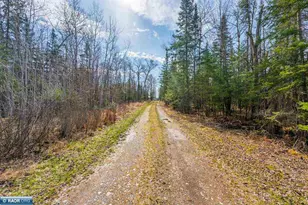 4214 McSweeney Rd, Mt Iron, MN 55768 - Photo 47