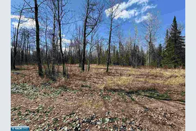3120 Hwy 73, Hibbing, MN 55746 - Photo 11