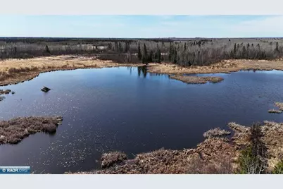 Tbd 43 Lummi Rd, Orr, MN 55771 - Photo 3