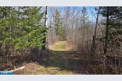 Tbd 43 Lummi Rd, Orr, MN 55771 - Photo 21