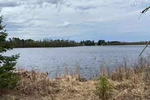 Tbd Moon Lake, Eveleth, MN 55734 - Photo 1