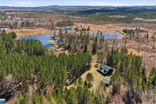 7185 Giants Ridge Rd, Embarrass, MN 55731 - Photo 15
