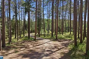 7159 Cranberry Trail, Britt, MN 55710 - Photo 43