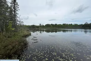 9064 Peppard Rd, Britt, MN 55710 - Photo 25