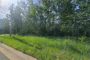 101 Stubler Dr, Buhl, MN 55713 - Photo 1