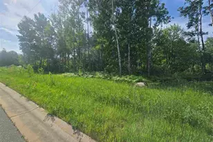 103 Stubler Dr, Buhl, MN 55713 - Photo 1