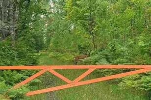 2647 Billings Rd, Hibbing, MN 55746 - Photo 35