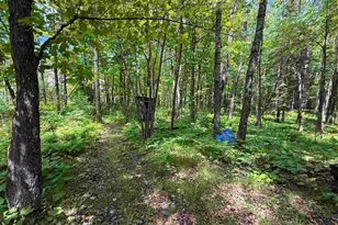 2647 Billings Rd, Hibbing, MN 55746 - Photo 31