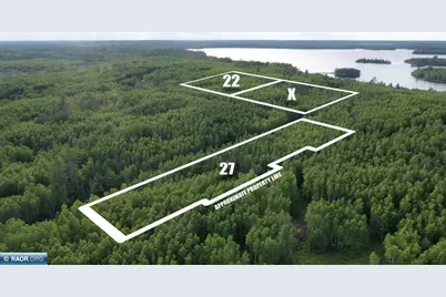 Tbd Parcel X Frazer Bay Rd., Cook, MN 55723 - Photo 1