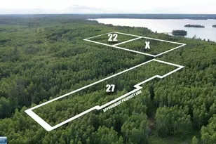Tbd Parcel X Frazer Bay Rd, Cook, MN 55723 - Photo 1