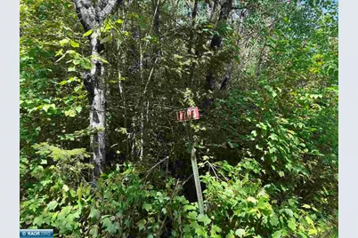 11703 Jacobs Rd, Orr, MN 55771 - Photo 1