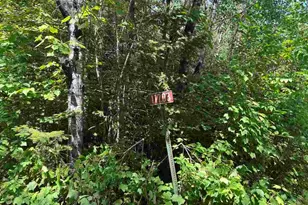 11703 Jacobs Rd, Orr, MN 55771 - Photo 1