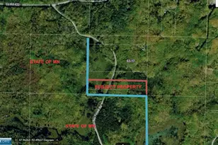 Tbd Niles Bay Forest Rd, Orr, MN 55771 - Photo 1