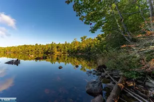 13848 Queen's Bay Rd, Ely, MN 55731 - Photo 3