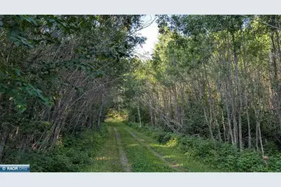 Lot A Hwy. 24, Orr, MN 55771 - Photo 3