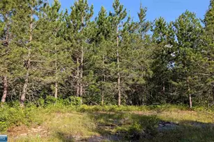 Lot A Hwy 24, Orr, MN 55771 - Photo 1