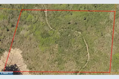 Lot B Hwy. 24, Orr, MN 55771 - Photo 3