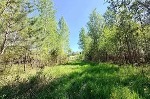 3805 Fraser Rd, Iron, MN 55751 - Photo 25