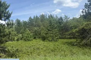 Tbd Butternut Rd, Gilbert, MN 55741 - Photo 1